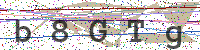 Enter Security Code