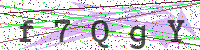 Enter Security Code