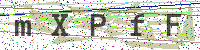 Sicherheitscode eingeben