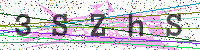 Enter Security Code