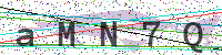 Enter Security Code