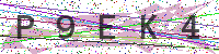 Sicherheitscode eingeben