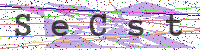 Enter Security Code