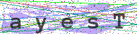 Sicherheitscode eingeben