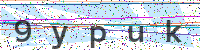 Sicherheitscode eingeben