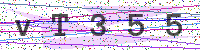 Enter Security Code