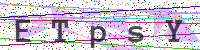 Enter Security Code
