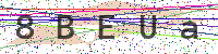 Enter Security Code