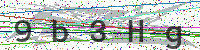Sicherheitscode eingeben
