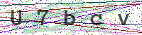 Enter Security Code