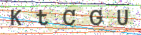 Enter Security Code