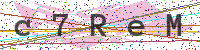 Enter Security Code