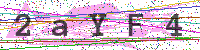 Enter Security Code