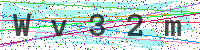 Enter Security Code