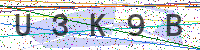 Sicherheitscode eingeben