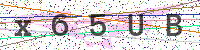 Enter Security Code