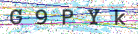 Sicherheitscode eingeben