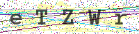 Enter Security Code