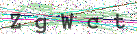 Enter Security Code
