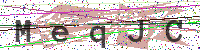 Enter Security Code