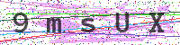 Enter Security Code