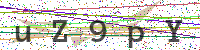 Enter Security Code