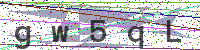Enter Security Code