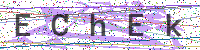 Enter Security Code