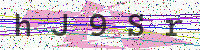 Enter Security Code