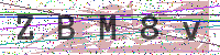 Enter Security Code