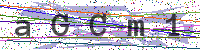 Enter Security Code