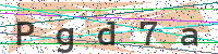 Enter Security Code