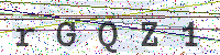 Enter Security Code