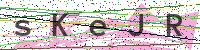 Sicherheitscode eingeben