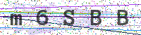 Enter Security Code