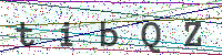 Sicherheitscode eingeben