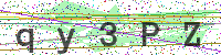 Enter Security Code