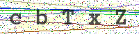Enter Security Code