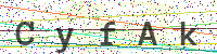 Enter Security Code