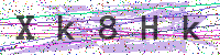 Enter Security Code