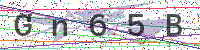 Enter Security Code