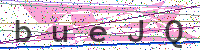 Enter Security Code