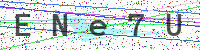 Enter Security Code