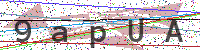 Enter Security Code
