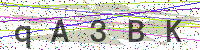 Enter Security Code
