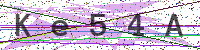 Enter Security Code