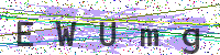 Enter Security Code