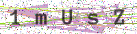 Sicherheitscode eingeben