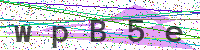 Sicherheitscode eingeben