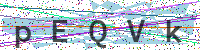 Enter Security Code